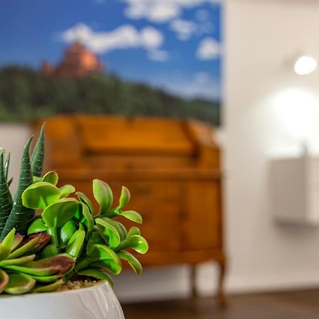 Righi Suite Apartment Bologna Exterior photo